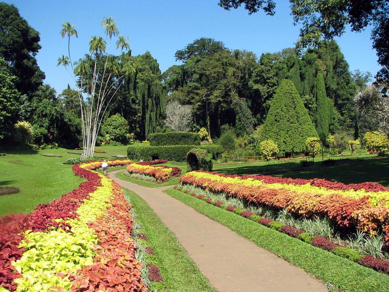 Kandy View Garden Hotel Eksteriør bilde